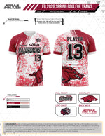 Load image into Gallery viewer, East Bay Spring 2026 Replica League  Baseball Jerseys
