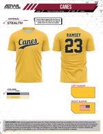 Load image into Gallery viewer, Canes Traditional Baseball Full Dye jersey