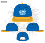 Load image into Gallery viewer, Wesley Chapel Hats Fall 2018