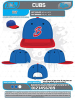 Load image into Gallery viewer, Bloomingdale Fall League Hats
