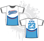 Load image into Gallery viewer, Wesley Chapel Men's Jersey Fall 2018