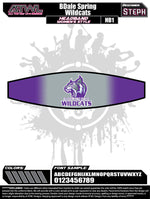 Load image into Gallery viewer, Softball Team Headbands Spring 2019